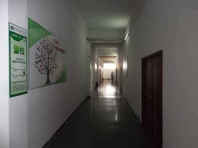 5S management boards